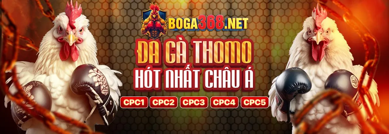 Wipwin Tin Tức Cập Nhật Mới Nhất