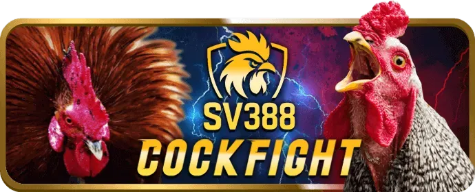 Đá gà cựa dao Wipwin